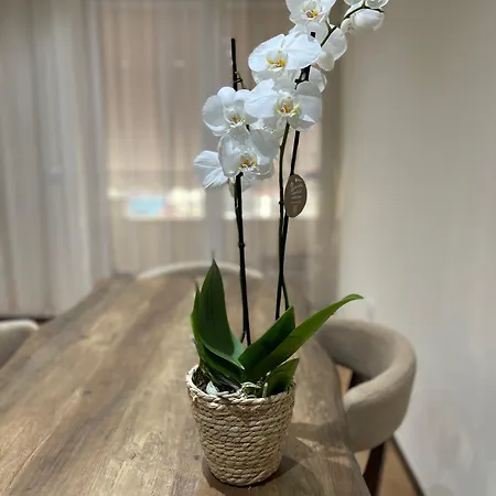 Apartmán Stylish 1 Bedroom Apt 5 Min Walking From Skanderbeg Sq